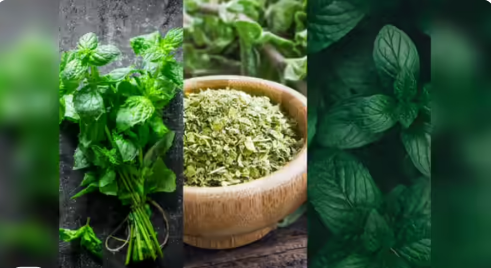 The 10 Best Herbal Weight Loss Supplements for Women in 2025